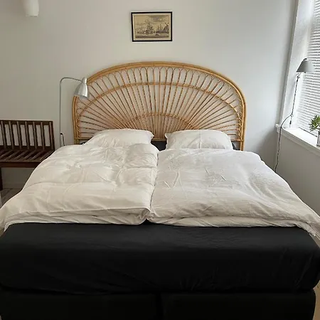 House 欧登塞
