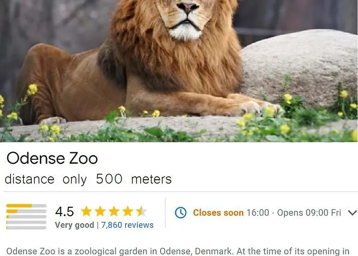 Bed & Breakfast House