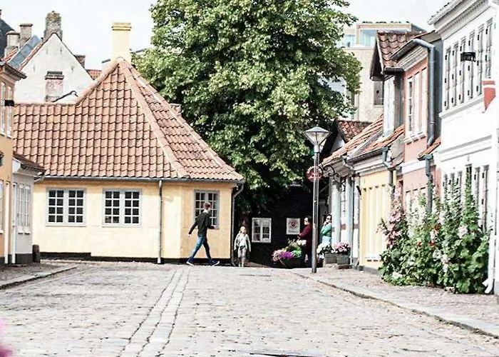 House Odense